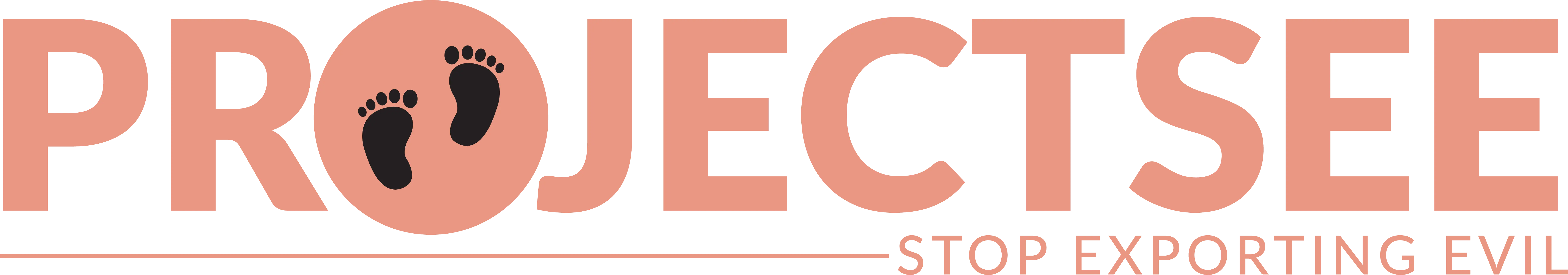 PROJECTSEE